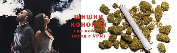 спиды Ельня