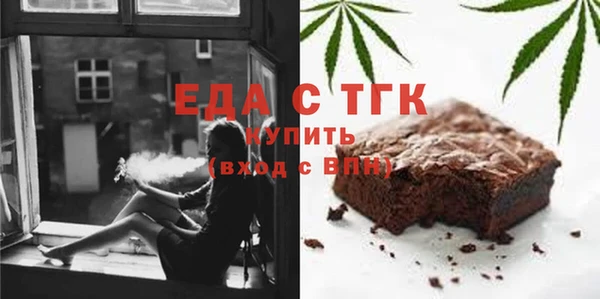 спиды Ельня