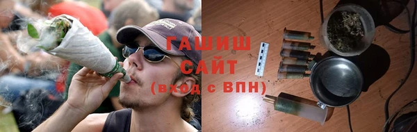 спиды Ельня