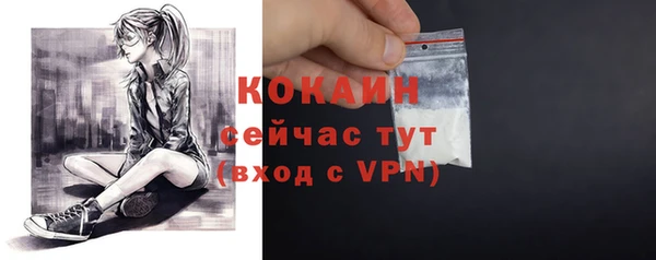 спиды Ельня