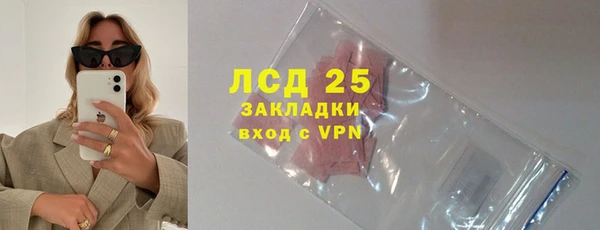 спиды Ельня