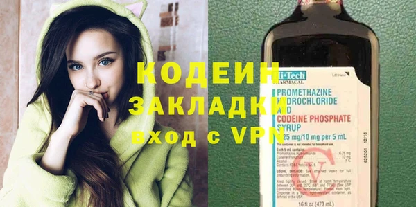 спиды Ельня