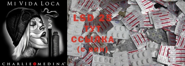 спиды Ельня