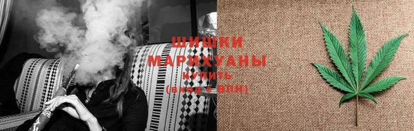 спиды Ельня