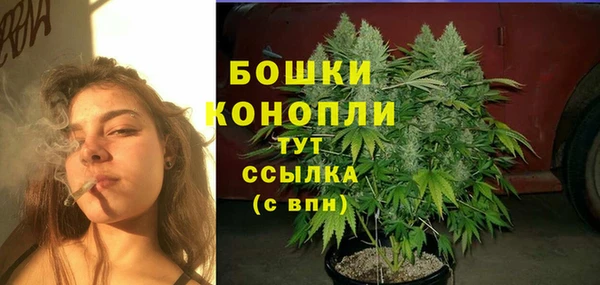 PSILOCYBIN Елизово