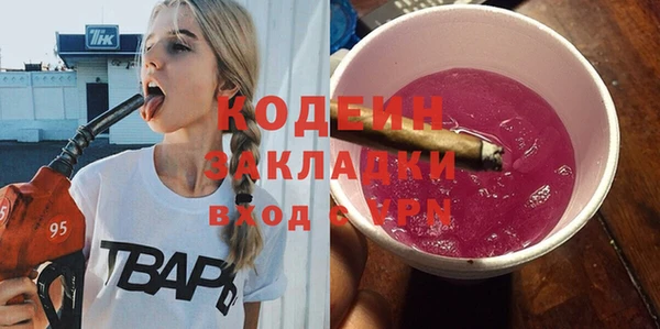 спиды Ельня