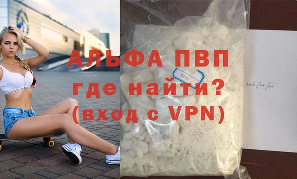 спиды Ельня