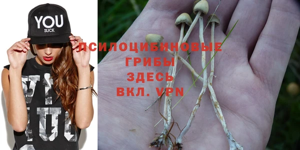 jwh Елабуга