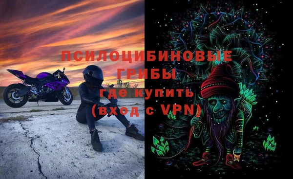 спиды Ельня