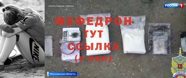 спиды Ельня